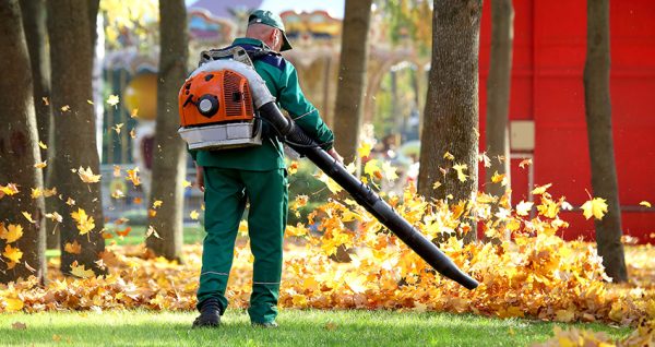 Seasonal yard cleanup in Lillington Seasonal yard cleanup in Lillington