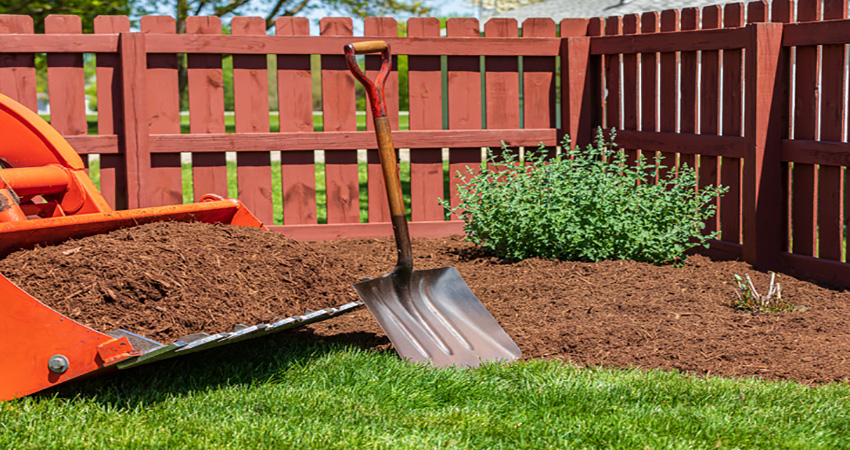 Fresh hardwood mulch installed in a North Carolina landscape bed