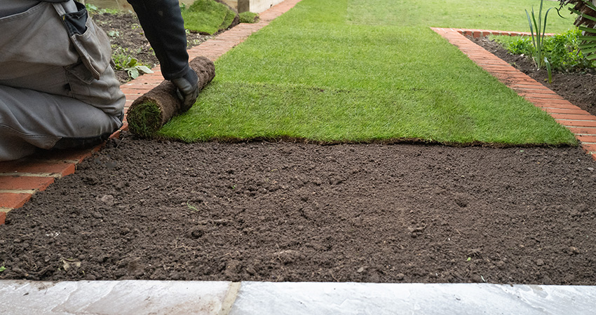 Lawn Panther Landscaping Sod Installation - Fuquay-Varina
