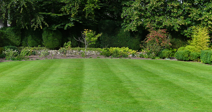 Lawn Panther Landscaping