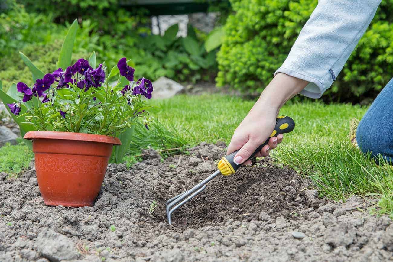 Lawn Panther Landscaping, Turf & Weed Control - Fuquay-Varina