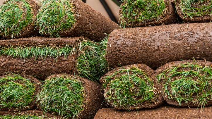 Lawn Panther Turf & Weed Control