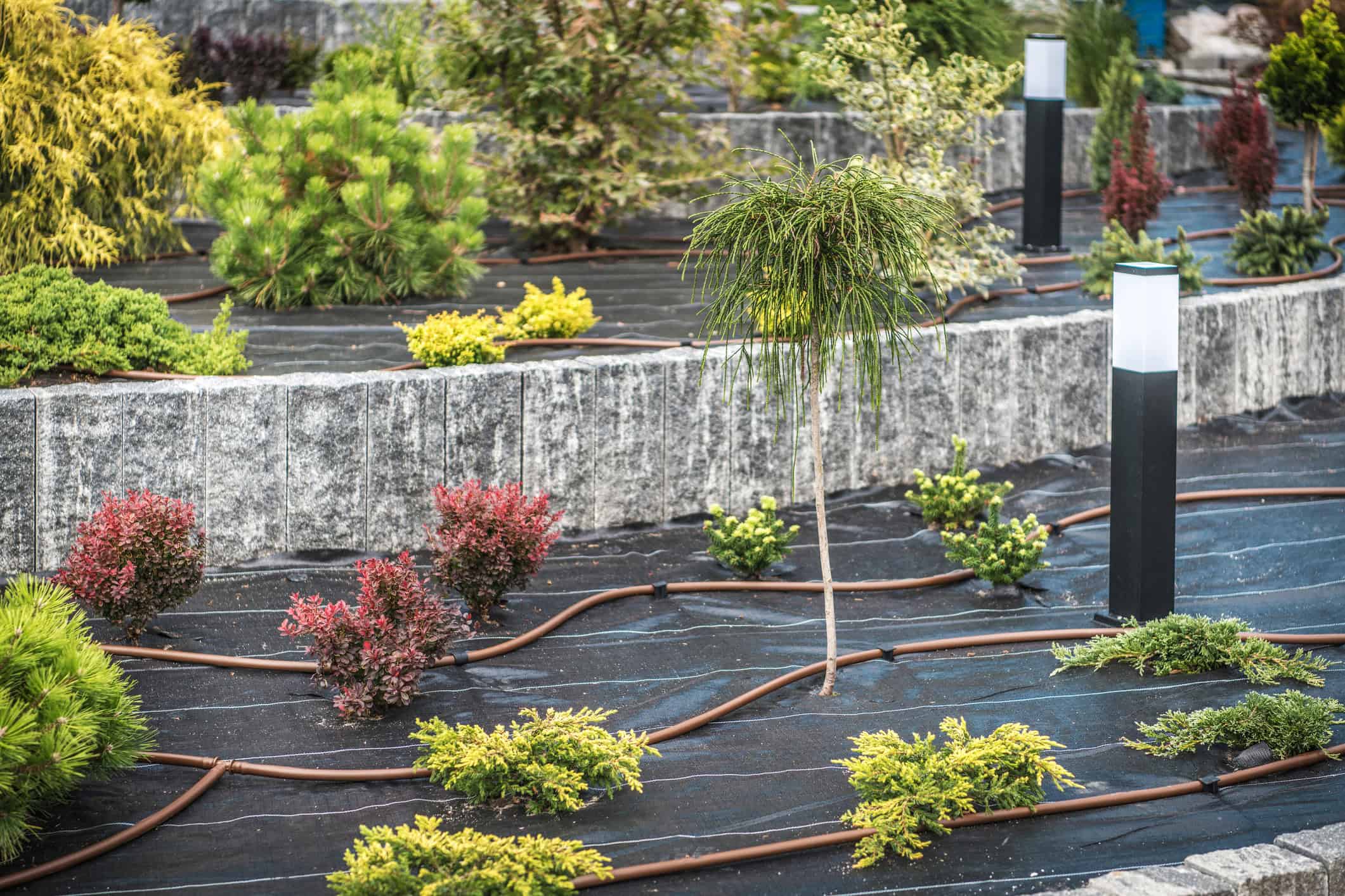 Drip Irrigation with Lighting install