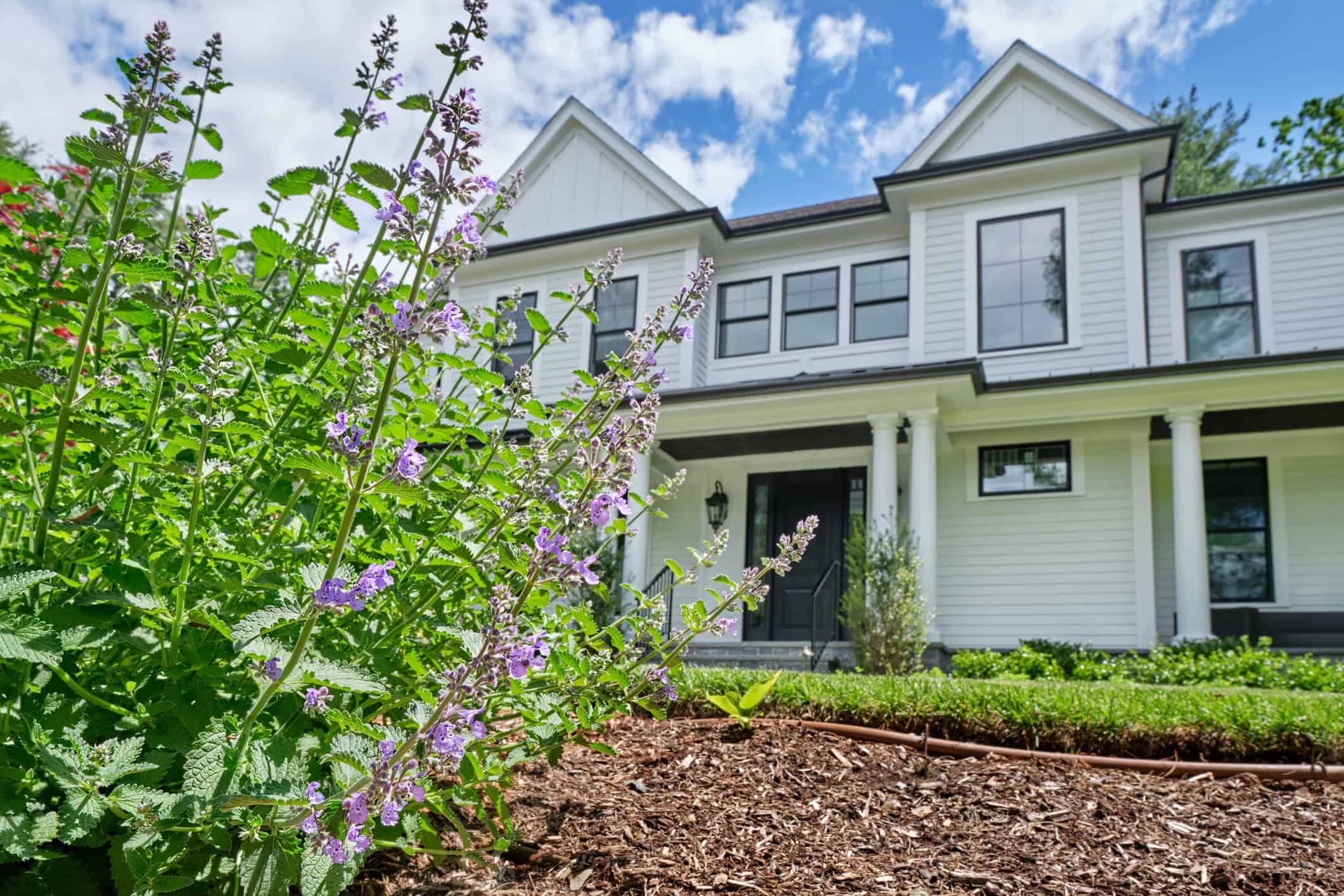 Drip irrigation with house - Lawn Panther Landscaping, Turf & Weed Control - Fuquay-Varina