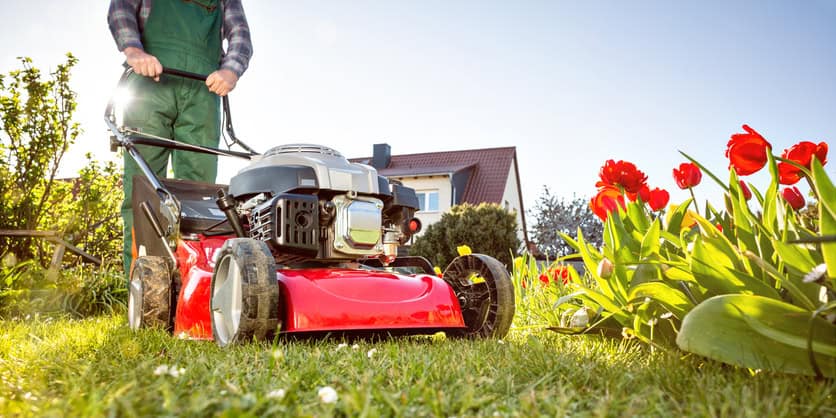 Lawn Mowing