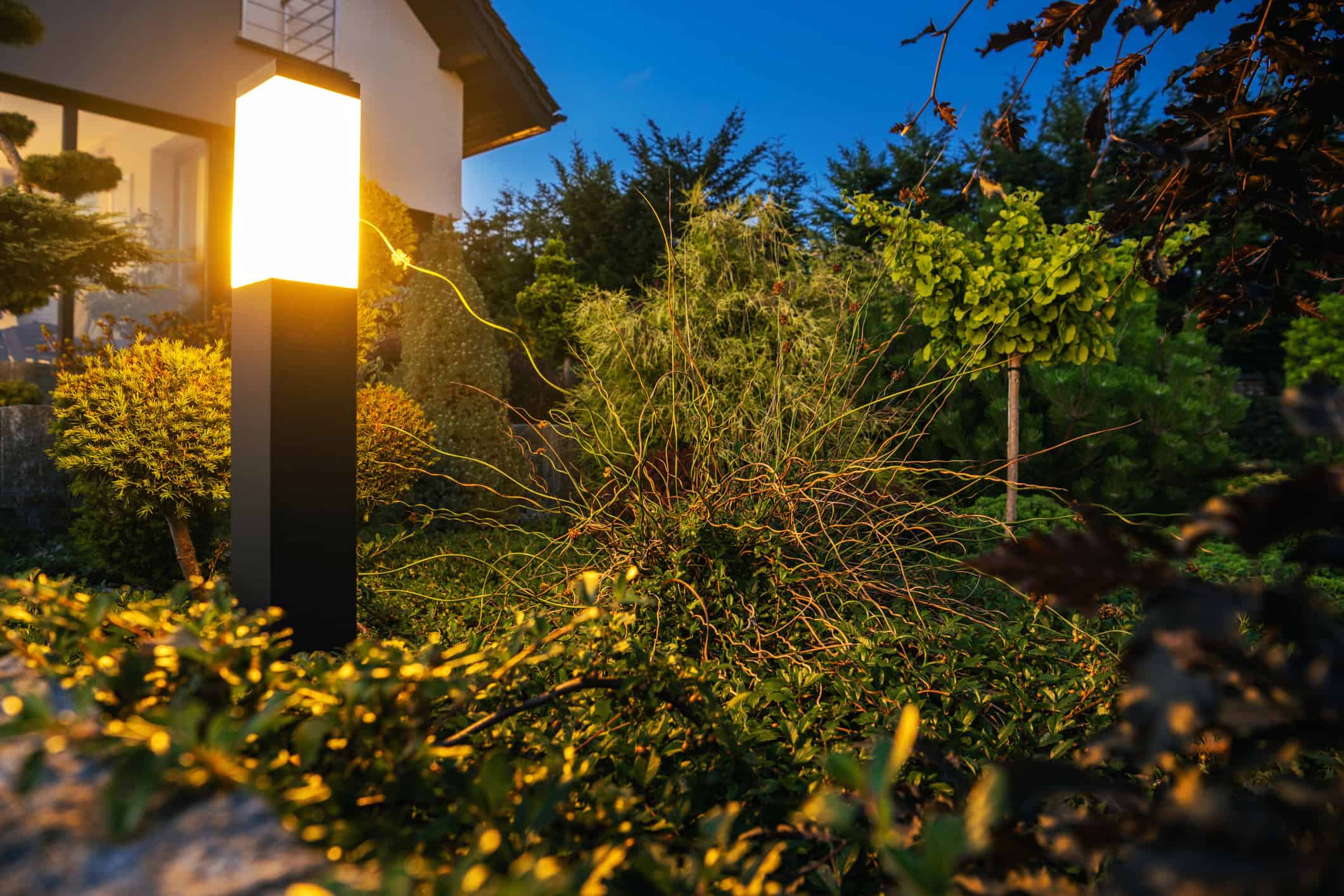 Low voltage landscape lighting near Holly Springs Lawn Panther Landscaping, Turf & Weed Control - Fuquay-Varina
