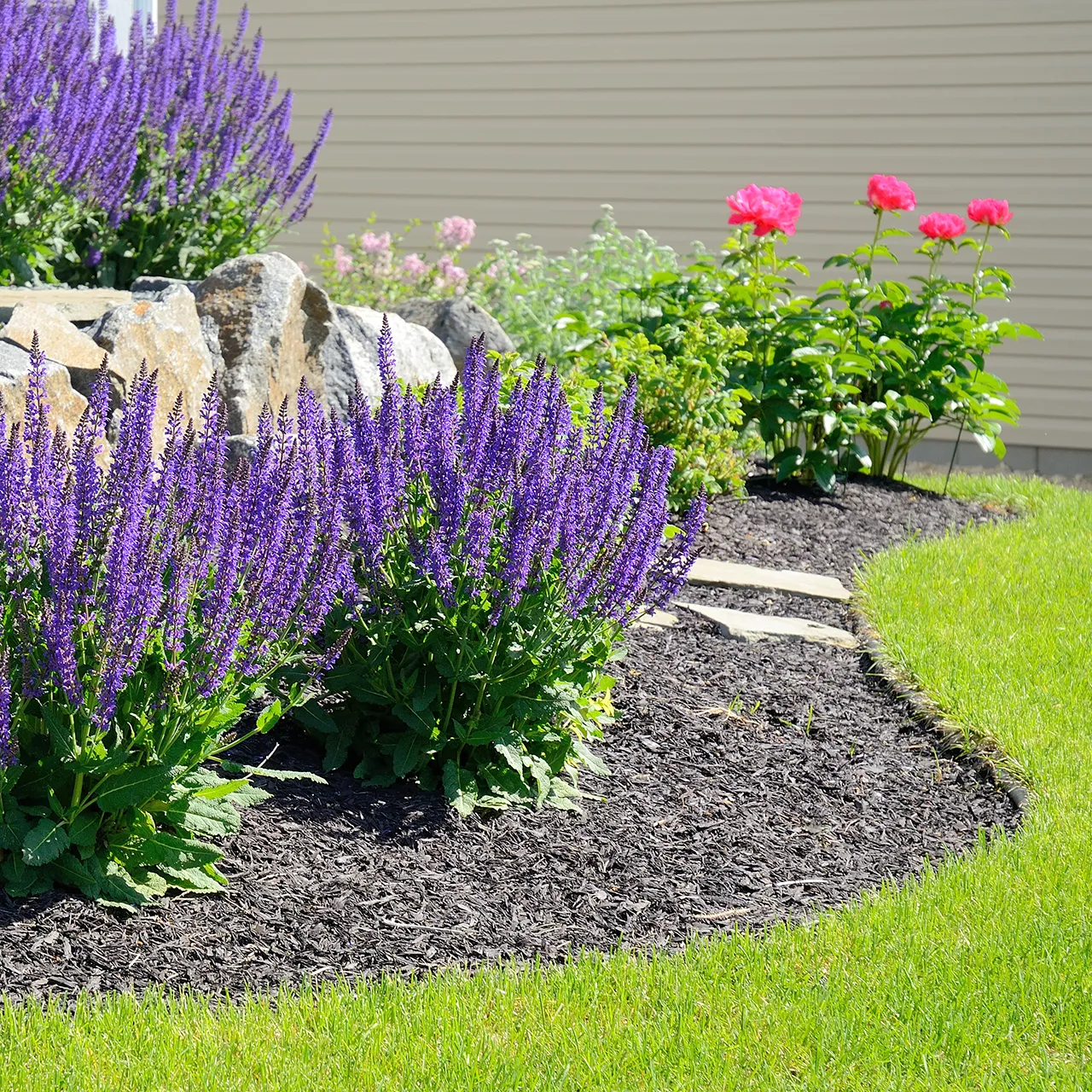 Spring-Flowering Shrubs trimmed by Lawn Panther in NC