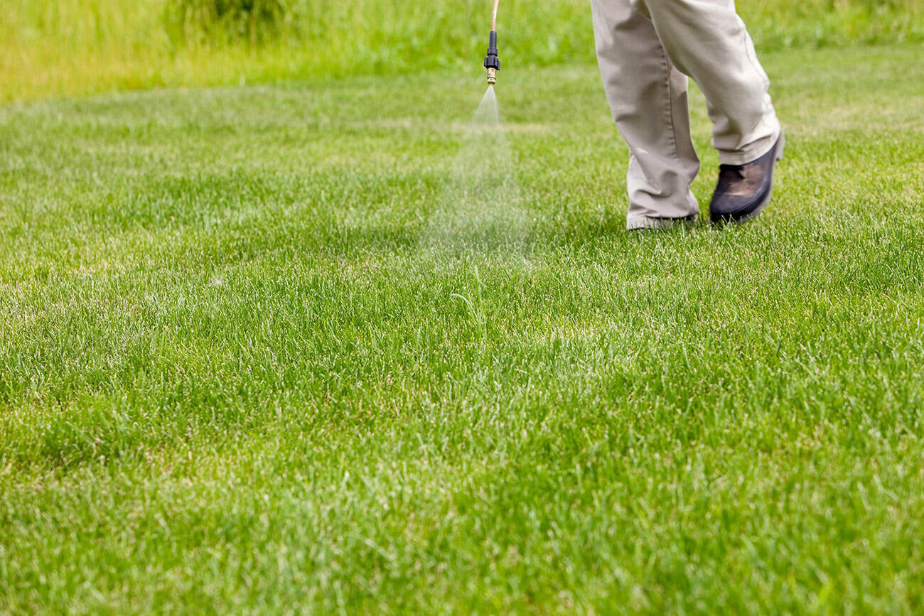 Spraying weed killer low to the turf for precise coverage and minimal drift