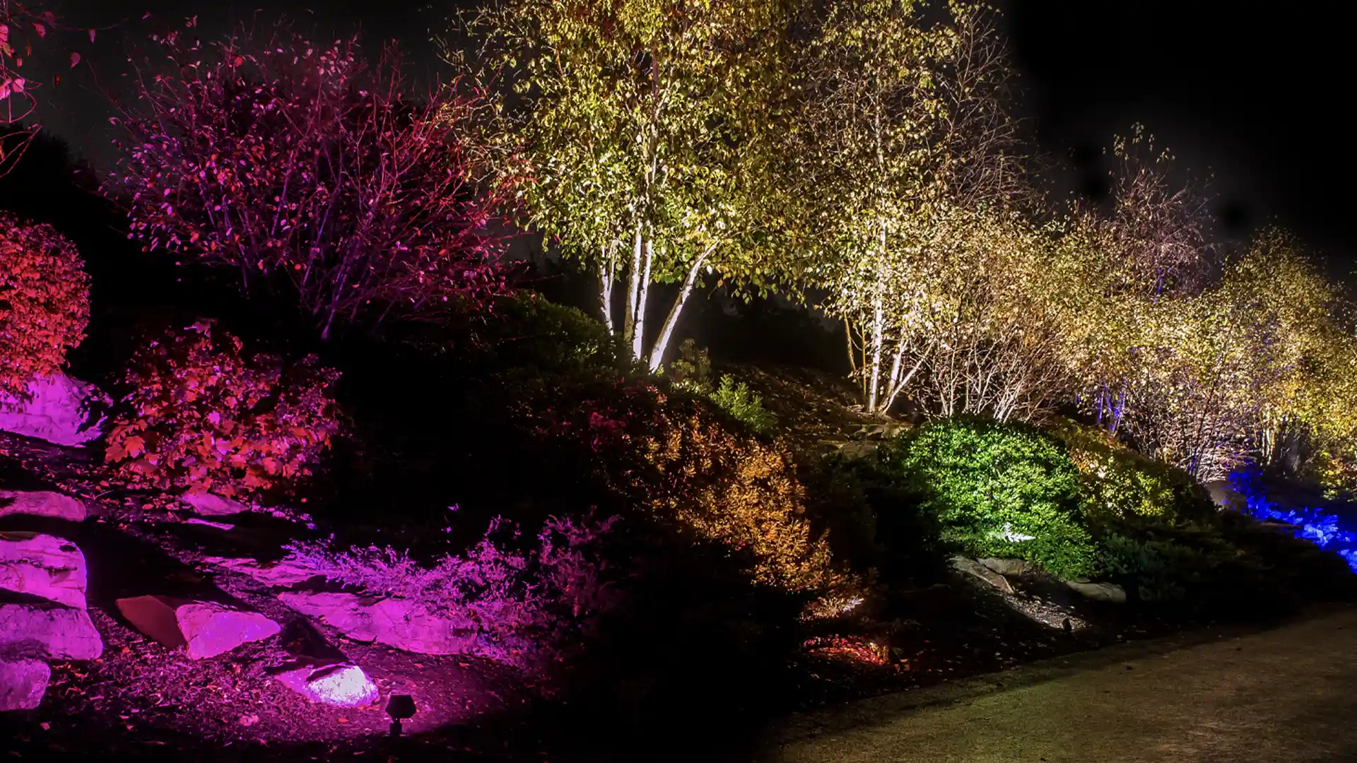 Color-changing FX landscape lighting on trees at a Fuquay-Varina, NC home at night FX Luminaire smart and color landscape lighting run by app in Willow Spring, NC