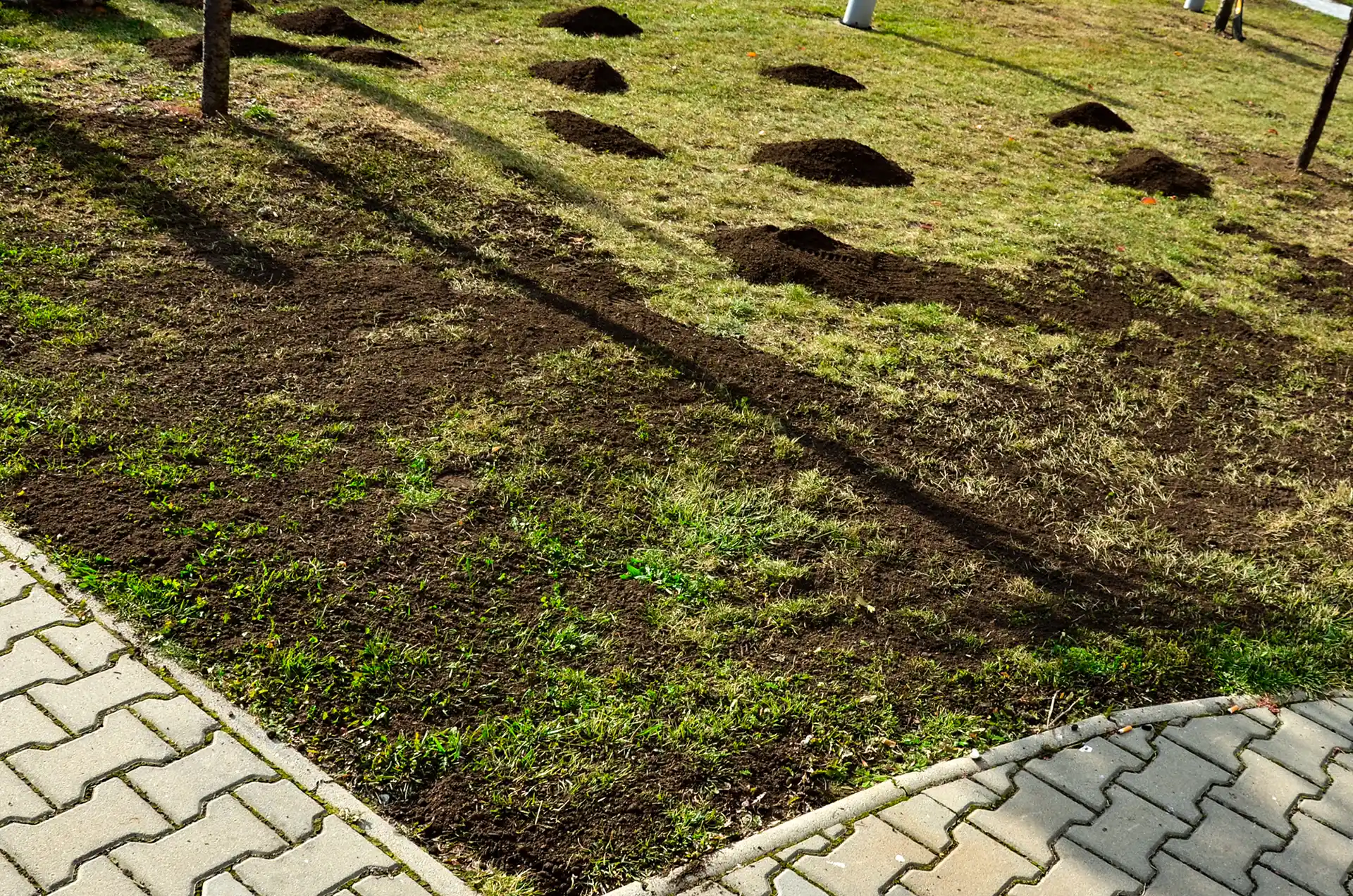 Screened compost piled on a lawn before top dressing