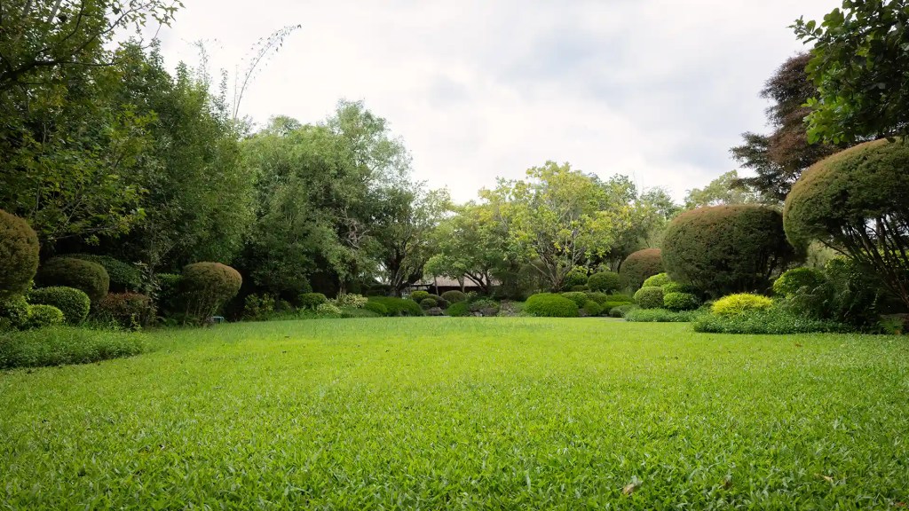 Bermuda grass lawn in full summer sun
