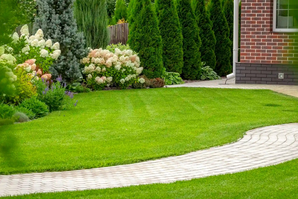 Thick, striped green backyard lawn with landscaped beds and a curved paver walkway, maintained by Lawn Panther in the Triangle.