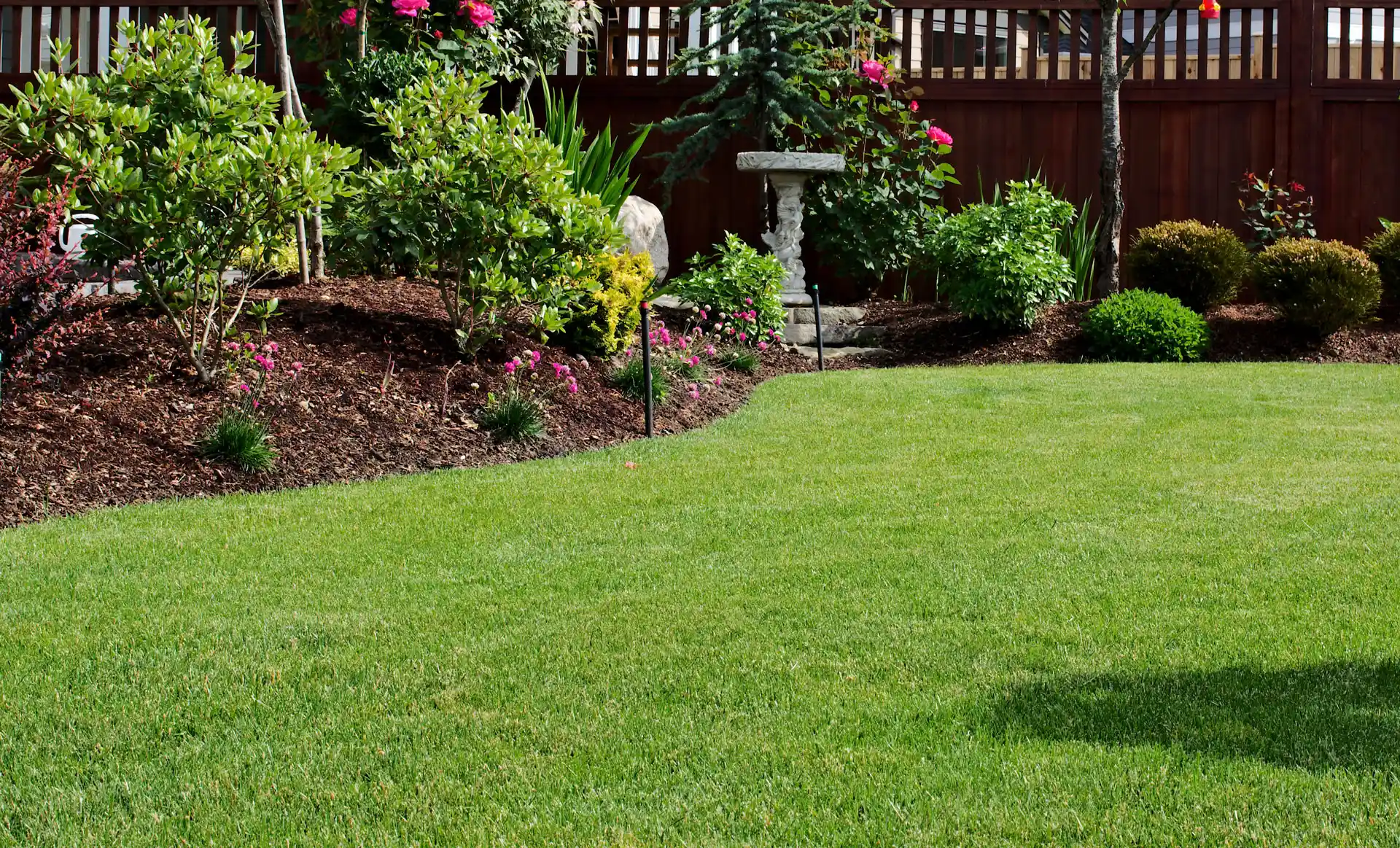 Healthy Bermuda lawn kept on our warm-season maintenance plan