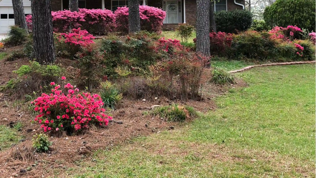 pine straw mulch in NC by lawn panther