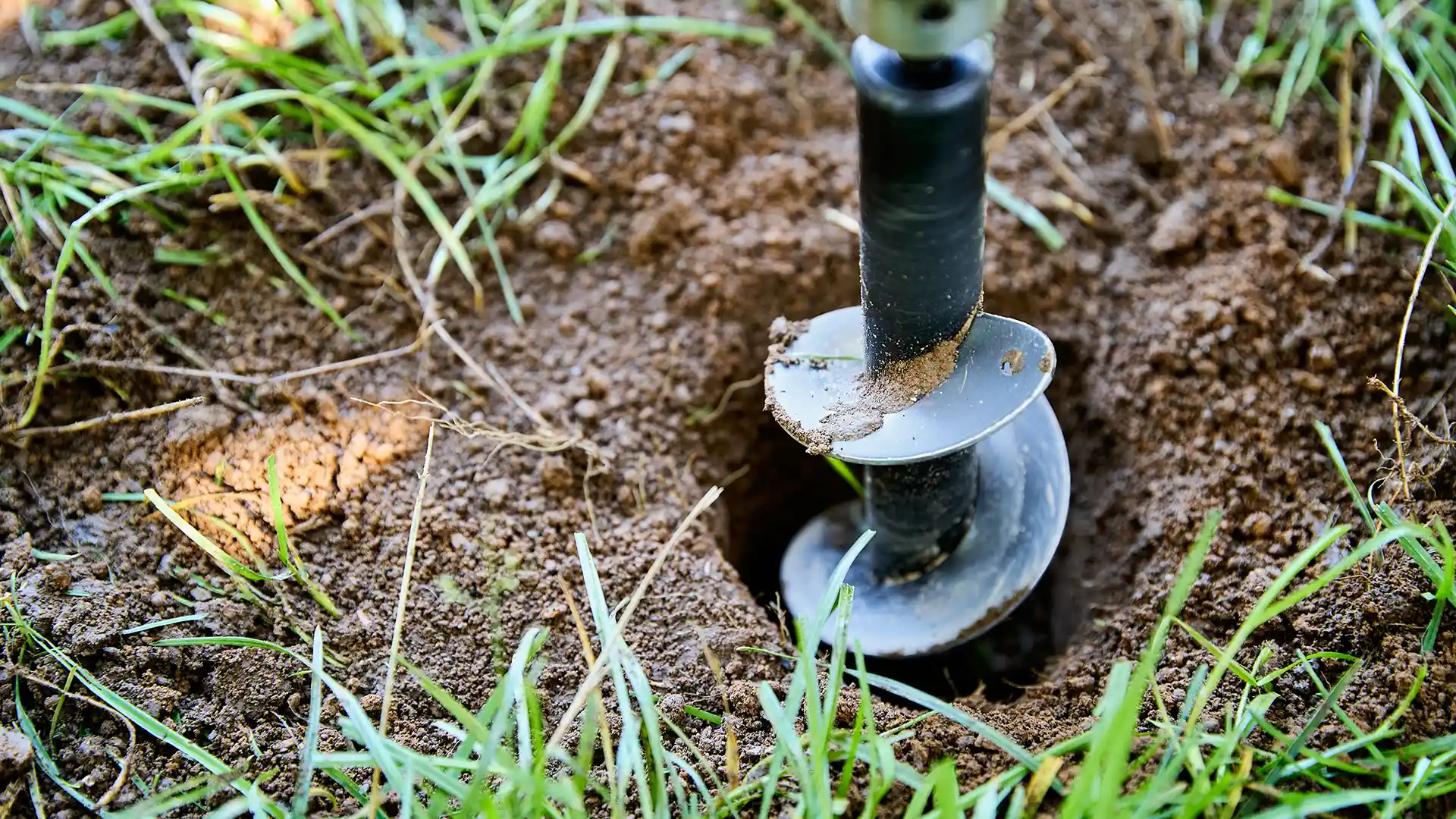 Drilling a hole to fill with fertilizer around a tree by Lawn Panther