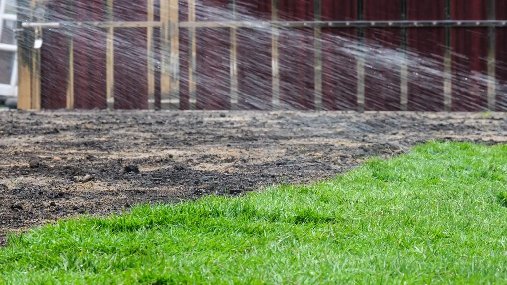 New sod being watered North Carolina by Lawn Panther