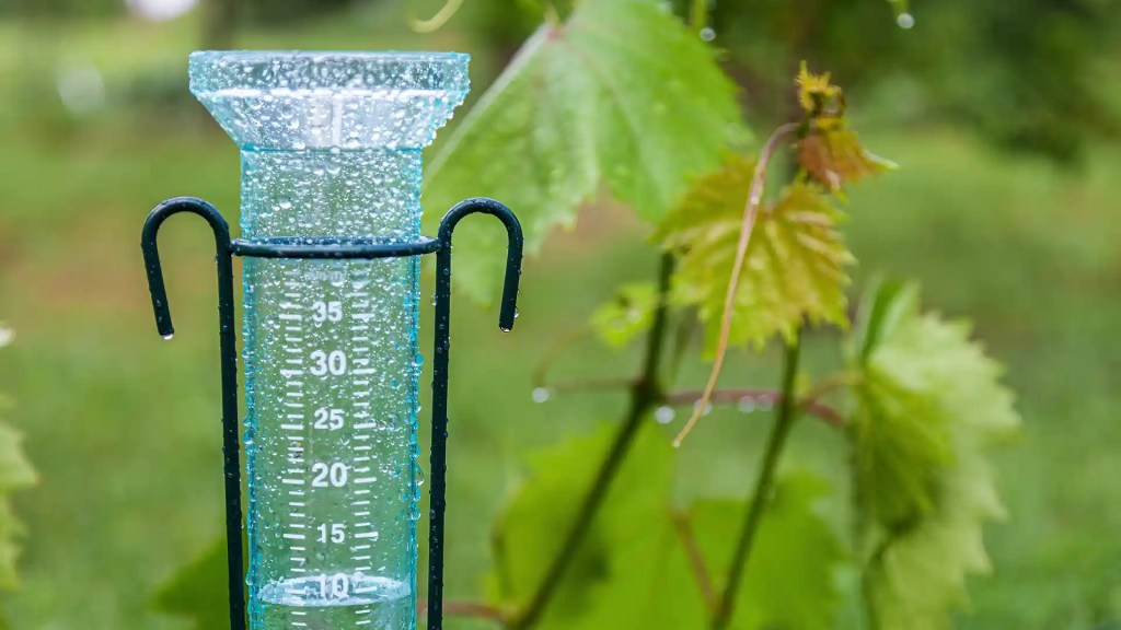 Rain Gage for determining water sprinkling amount in Lawn Panthers NC yards
