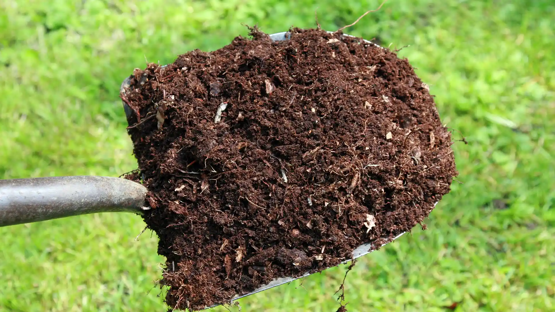 Improving the soil in the garden bed before planting in North Carolina by Lawn Panther