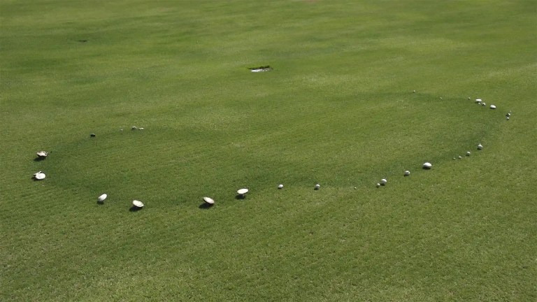 Fairy Ring and Turf with Mushrooms in North Carolina by Lawn Panther