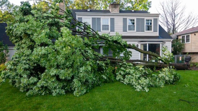 Hurricane House picture in North Carolina by Lawn Panther