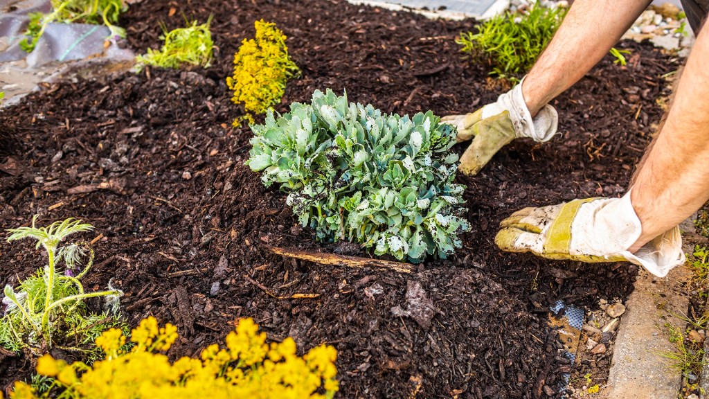 Installing mulch In Holly Springs NC by Lawn Panther