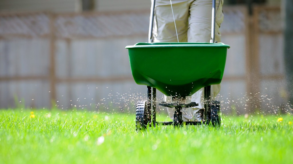 Fertilizing Fescue grass in Apex, NC by Lawn Panther