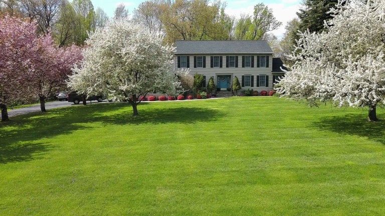 Healthy tall fescue lawn in front of a North Carolina home by Lawn Panther